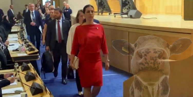 Pekarová Adamová je….