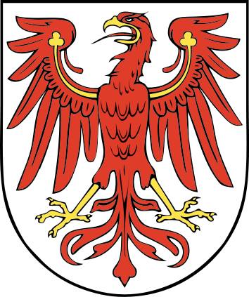 Dějiny národa Českého - PO SMRTI ČESKÉHO KRÁLE PŘEMYSLA OTAKARA II. (BRANIBOŘI V ČECHÁCH)